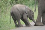 safrica_dec_13_image60.jpg